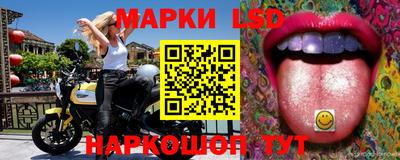 гашик Кимры