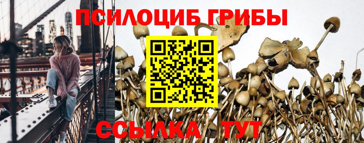 Галлюциногенные грибы мухоморы  Вход с VPN  Добрянка 
